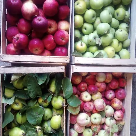 Il Giardino Nell'orto Farma Vetralla