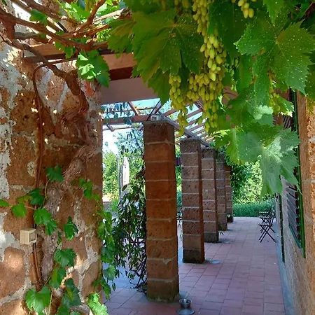 Il Giardino Nell'orto