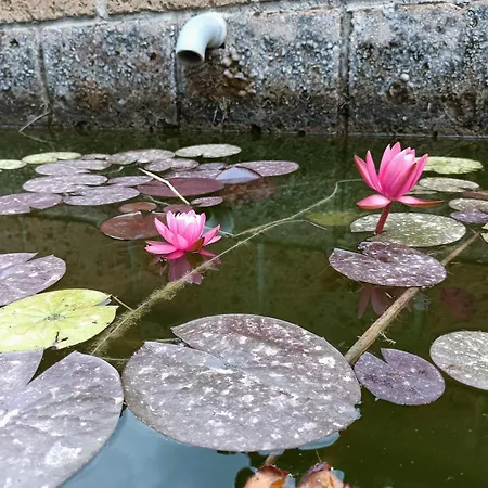 Κατάλυμα σε φάρμα Il Giardino Nell'orto Vetralla